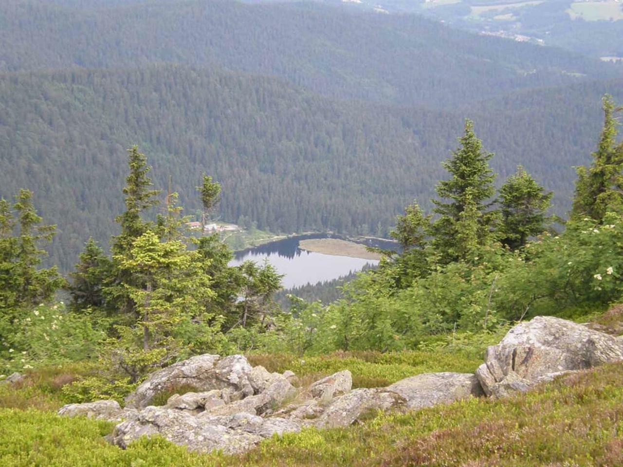 Gaestehaus Schmalzreich Lam Exteriör bild