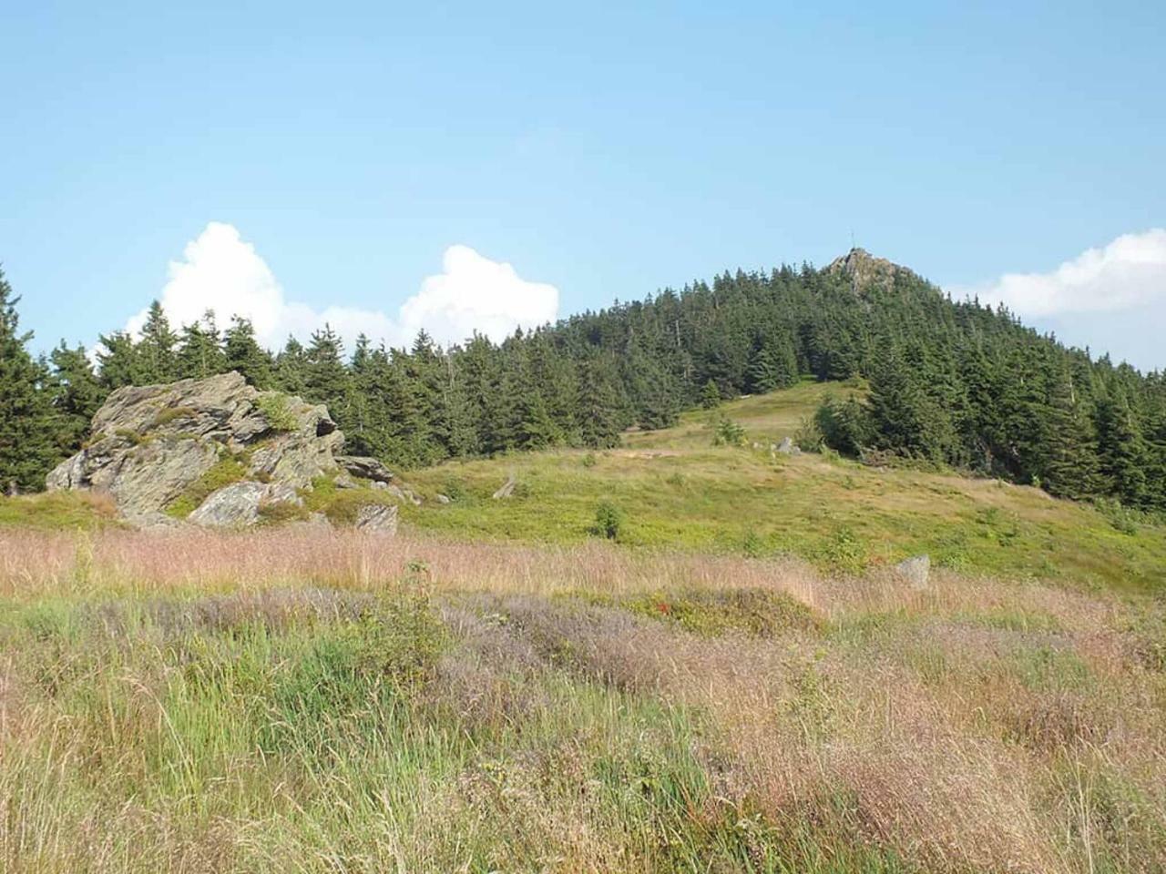 Gaestehaus Schmalzreich Lam Exteriör bild