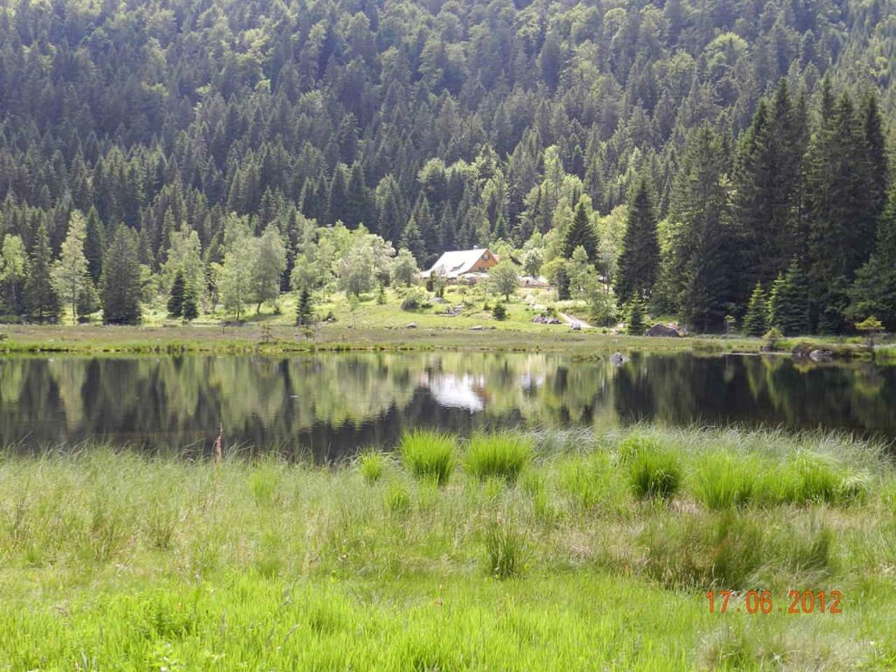 Gaestehaus Schmalzreich Lam Exteriör bild